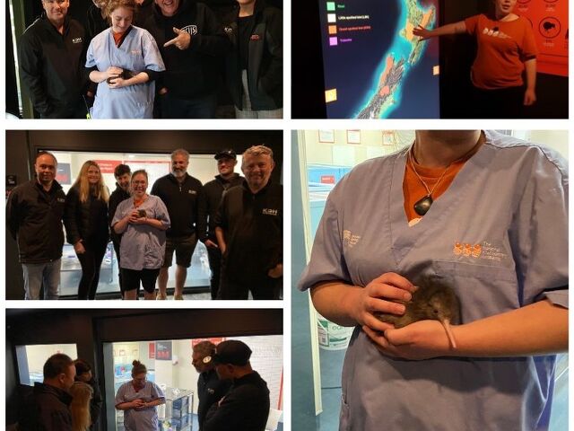 Kiwi Visit