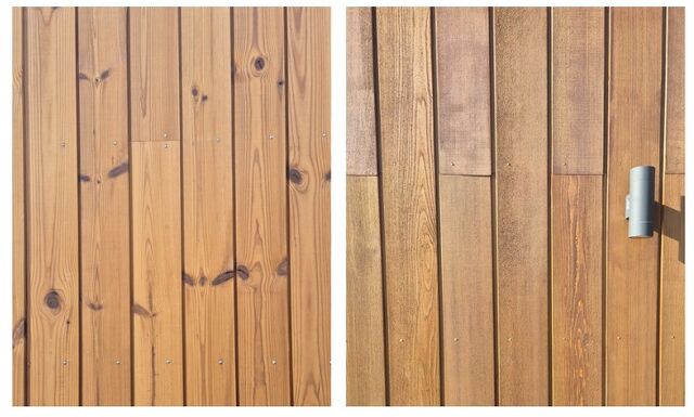 TAIGA vs CEDAR - WHAT'S THE VERDICT?