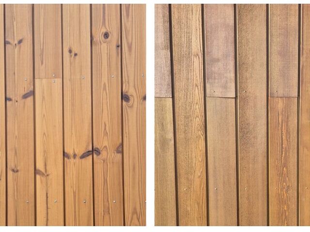 TAIGA vs CEDAR - WHAT'S THE VERDICT?
