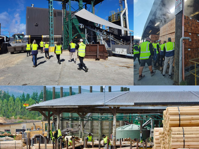 DAY OUT AT A TIMBER PLANT