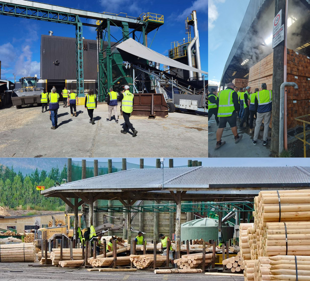 DAY OUT AT A TIMBER PLANT